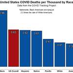 image for [OC] Joe Biden was right, 1 in 1000 Black Americans have died from COVID-19