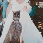 image for My Mom had a Kangaroo growing up, and it was the ring bearer at her wedding.