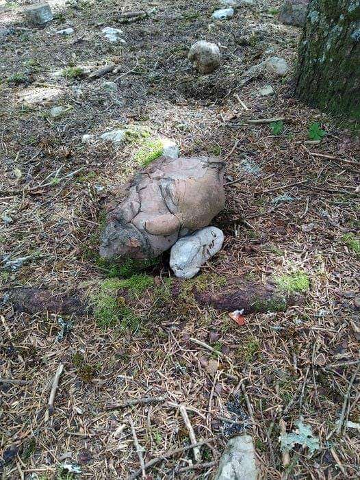 image showing This rock that looks like a severed head