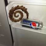 image for How this frozen Diet Pepsi exploded
