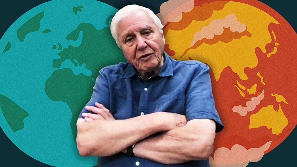 image for Attenborough: 'Curb excess capitalism' to save nature