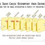 image for The Swiss cheese respiratory virus defense