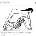 image for Goose