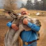 image for Colorado man reunited with his donkey, Ennis, after fire swept through his town.