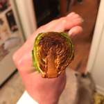 image for Pan fried Brussel sprout looks like a tunnel