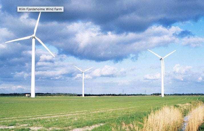 image for Danish research shows “almost no birds” die in collisions with wind turbines