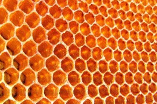 image for Scientists explain the amazing process by which bees make hexagonal honeycombs.