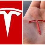 image for Ya'll comparing the Tesla logo to a cat's nose and I'm over here like "bro..."