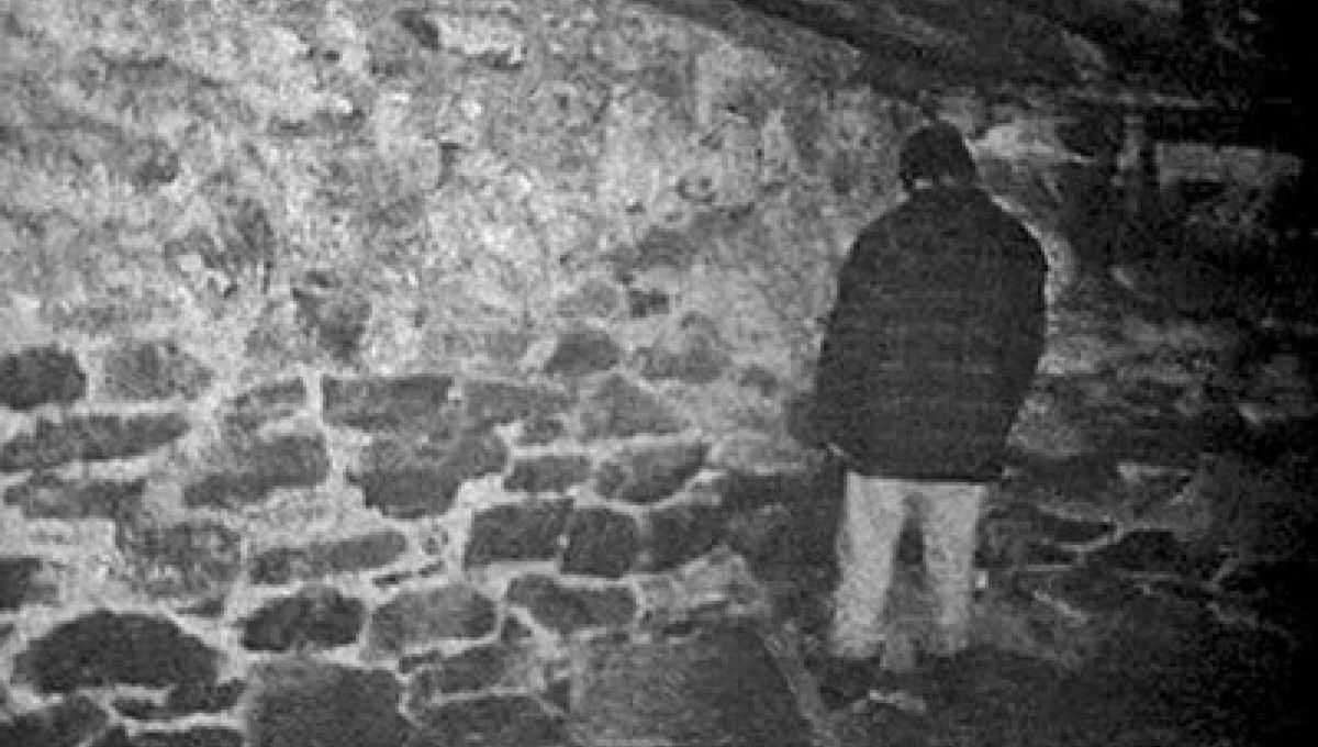 image for 11 Things You Never Knew About 'The Blair Witch Project'