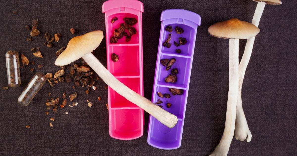 image for Psilocybin therapy 4 times more effective than antidepressants, study finds