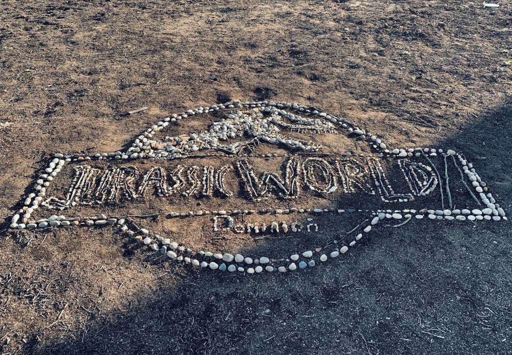 image for ‘Jurassic World: Dominion’ Wraps Unprecedented Shoot After 18 Months, 40,000 COVID Tests & Millions On Protocols; Colin Trevorrow & Donna Langley On The “Emotional” Journey