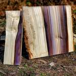 image for Found these beautiful colors hiding inside a piece of wood.