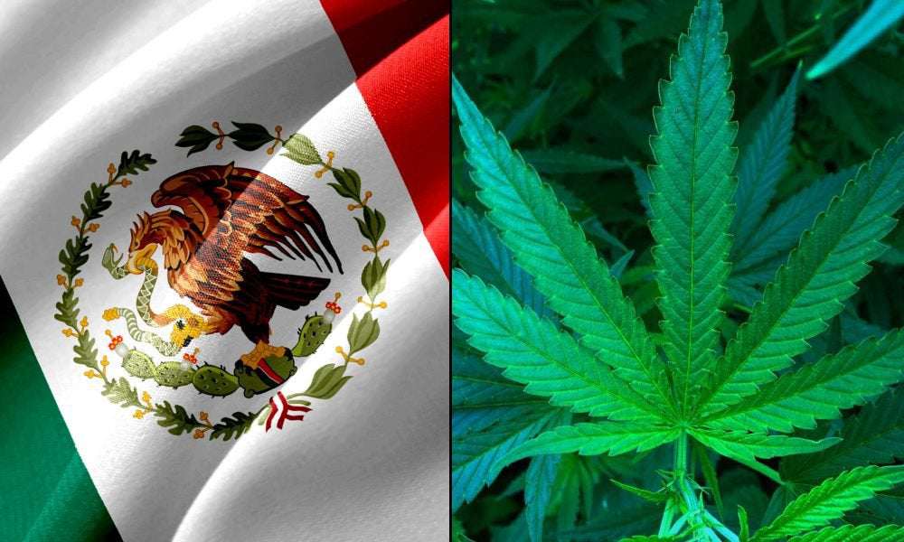 image for Mexican Senate Committees Formally Approve Marijuana Legalization Bill For Full Floor Action