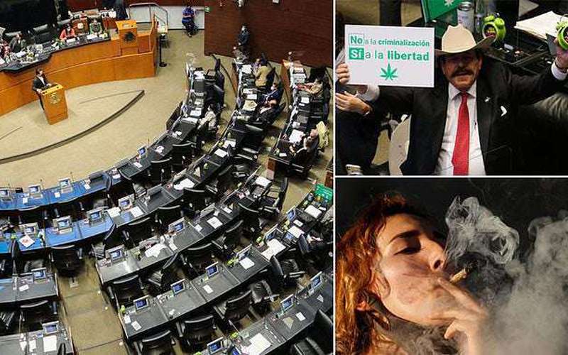 image for Mexico approves landmark cannabis legalization bill in landslide vote