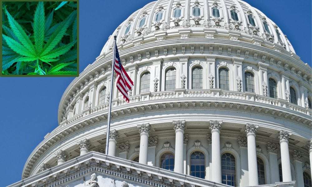 image for Federal Marijuana Legalization Bill Will Get A Congressional Vote Next Week, Leader Announces