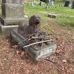 image for Instead of flowers, people bring sticks to this dog’s grave.
