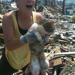 image for A woman found her cat alive sixteen days after a destructive tornado in Joplin, Missouri, in 2011.