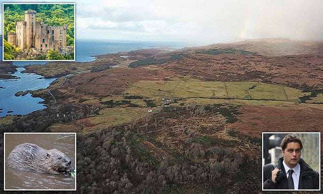 image for Scottish clan chief plans to rewild his Isle of Skye estate with 370,000 native trees