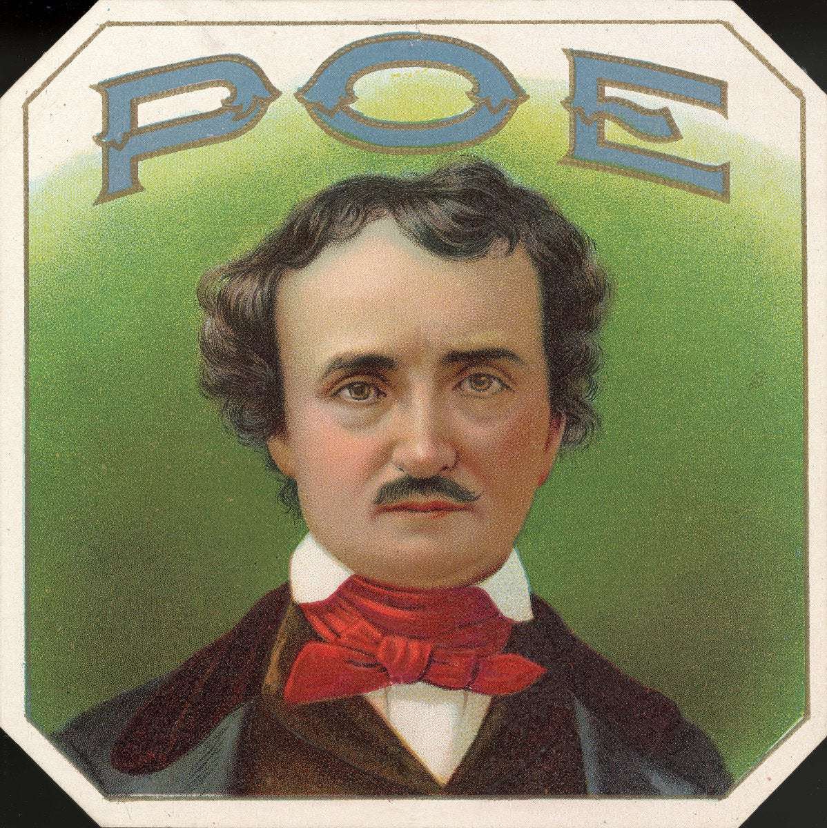 image for The Riddle of Edgar Allan Poe's Death