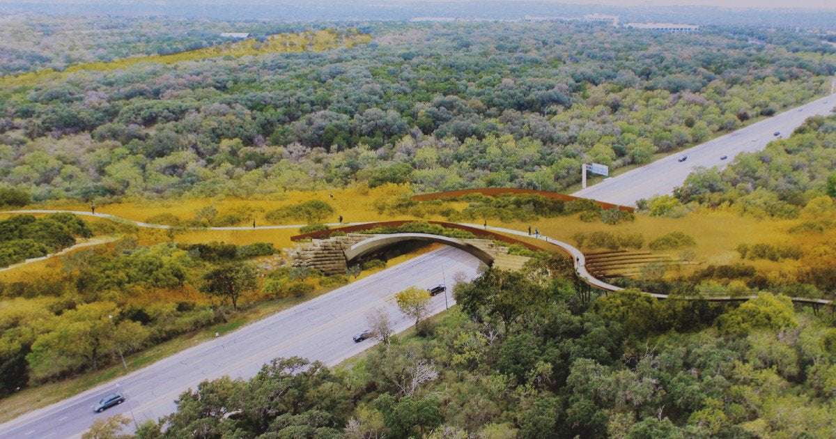image for Largest Wildlife Bridge In U.S. Opens Friday At San Antonio's Hardberger Park