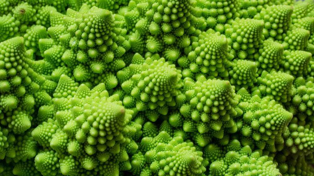 image for Study finds that by age 3 kids prefer nature's fractal patterns