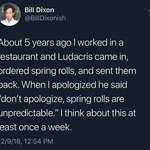 image for Spring rolls are unpredictable
