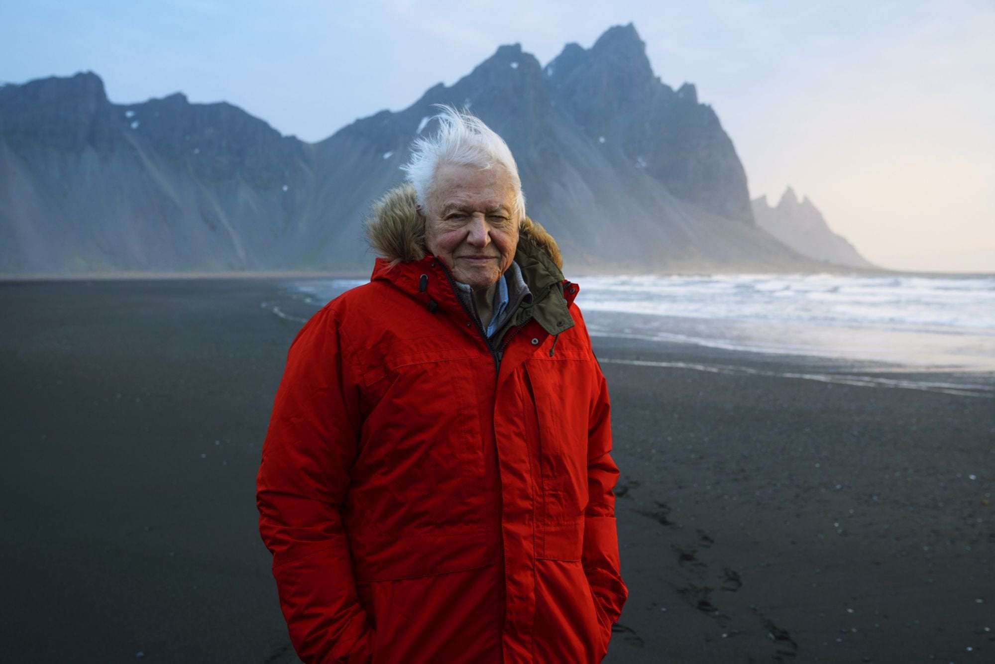 image for Sir David Attenborough punched the air in joy when Trump lost to Biden