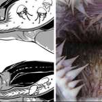 image for This is the inside of a sea turtle's mouth - they're anti-barfing spikes.
