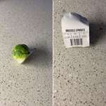 image for Ordered One Brussel Sprout instead of 1kg! Need to cut it into four to go round!