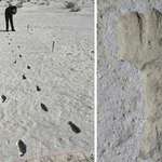 image for The longest prehistoric human trail ever discovered. It's 1.5 kilometers long, discovered in NM, in an area full of predators during the ice age. The footprints belong to a young adult and a toddler, likely a mother and child. She was in a hurry and some times carried the child on her back
