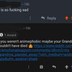 image for This guy made fun of my dead grandma because i was "animephobic"