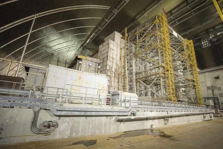 image for Fungi That 'Eat' Radiation Are Growing on the Walls of Chernobyl's Ruined Nuclear Reactor
