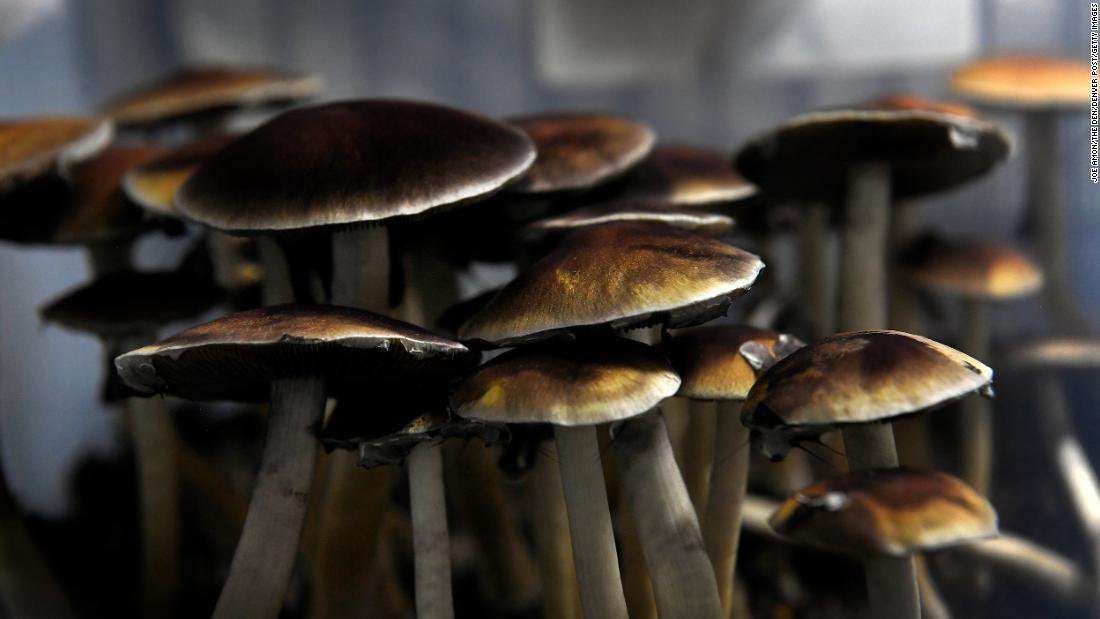 image for 'Magic mushroom' ingredient could work as mental health treatment