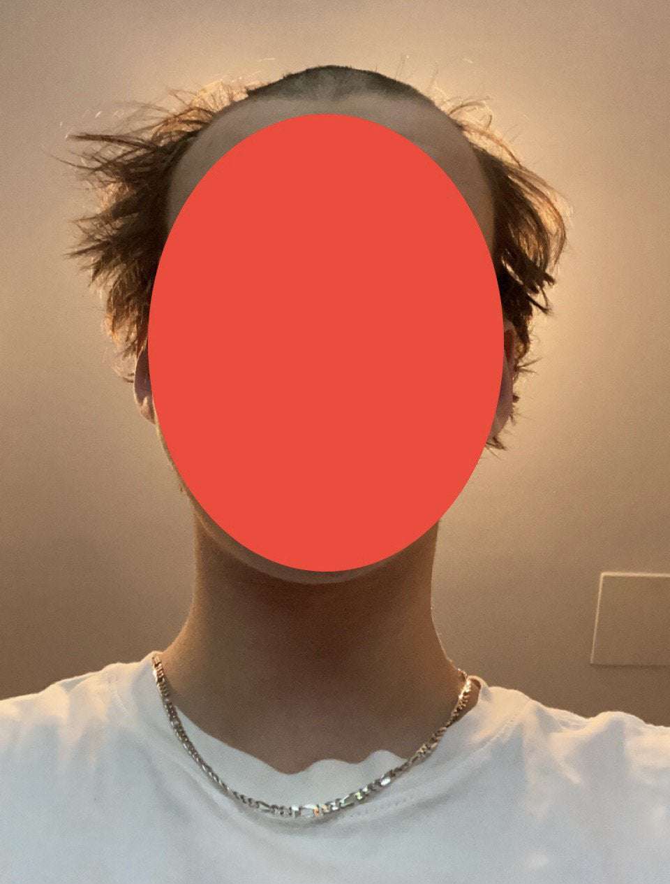 image showing Tried to buzzcut my hair because all the barbers were closed, clipper called it quits halfway through. 4 days until my Amazon one arrives... fuck...