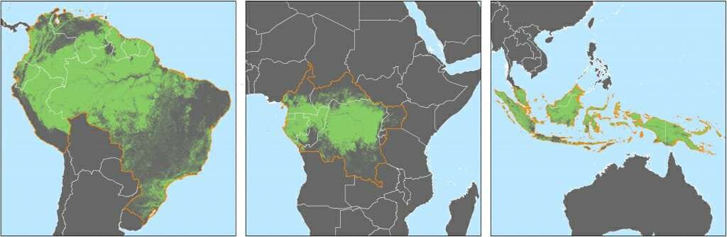 image for Subscriptions to satellite alerts linked to decreased deforestation in Africa