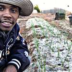 image for FIRST TIME GROWING GARLIC UPDATE