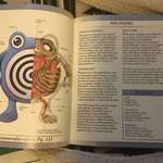 image for This book I have that shows the detailed anatomy of the first gen Pokémon