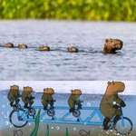 image for Here is a capybara bicycle passing through your feed