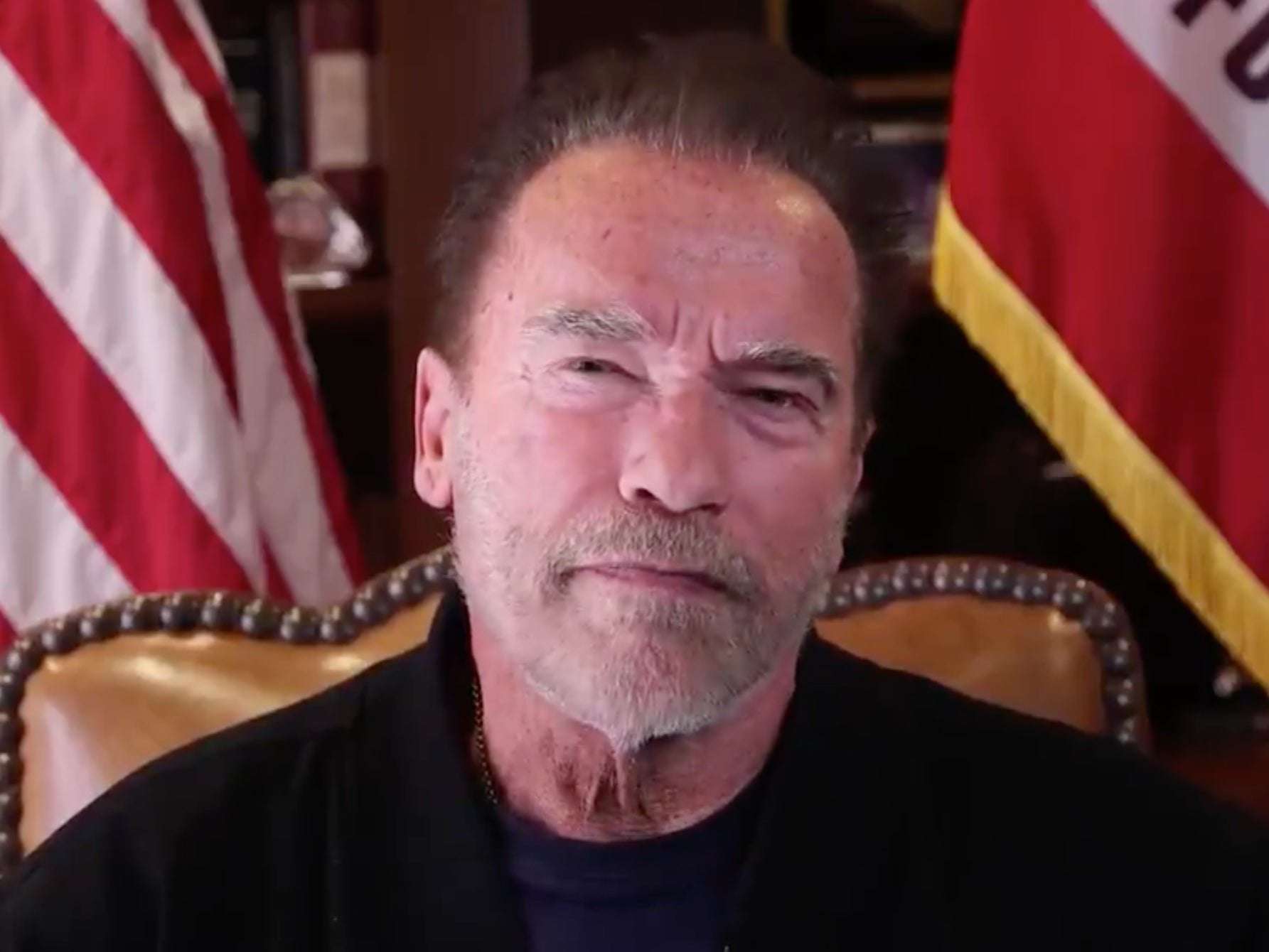 image for Arnold Schwarzenegger compares Capitol riots to Kristallnacht