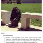 image for be nice to the ghillie suit shrub man