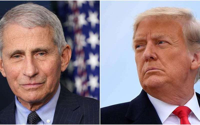 image for Trump is furiously watching Fauci give interviews about how relieved he is to be working for Biden, report says