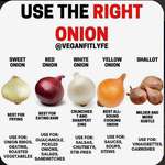 image for Onion use guide