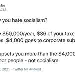 image for So, you say you hate socialism?