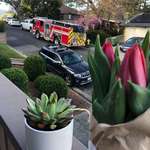image for The firefighters that helped deliver our baby in our driveway last week just dropped off flowers