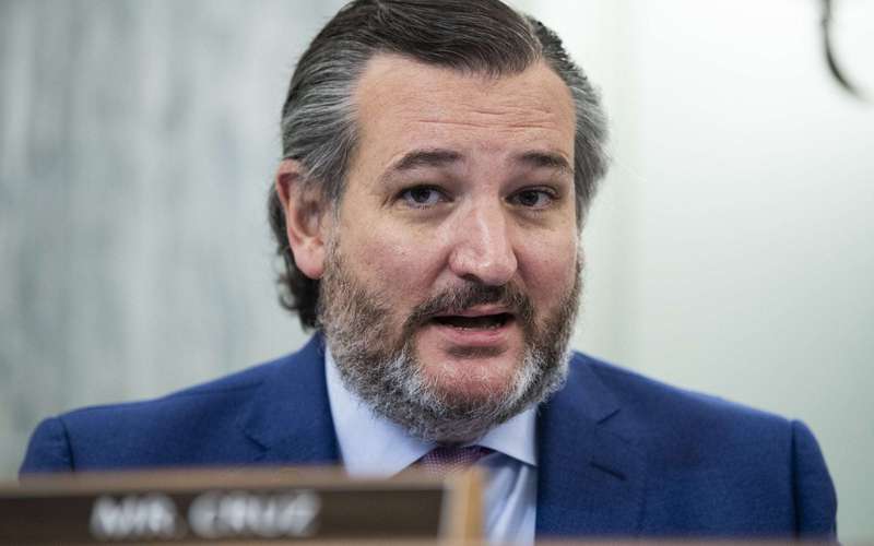 image for Ted Cruz Accused of Flying to Cancun Amid Texas Power Outages As Photo Goes Viral