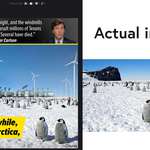 image for Green energy is great, Tucker is a liar but antarctic bases don't look like futuristic green houses