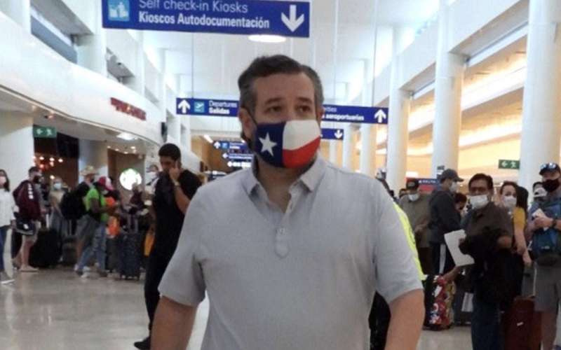 image for Critics Accuse Ted Cruz of 'Fake Compassion' As He Hands Out Water After Mexico Trip