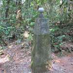 image for While hiking an isolated jungle trail in the Amazon, we came across this post marking the equator.