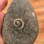 image for This rock I found has a shell inside it and it’s been worn away to a flat spiral in appearance.