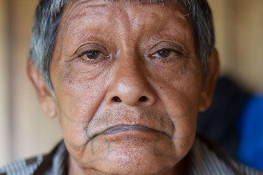 image for Covid-19 takes the life of the last male from Brazil’s indigenous Juma tribe
